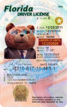 Florida Driving License Under 21