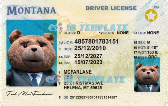 Montana Driving license