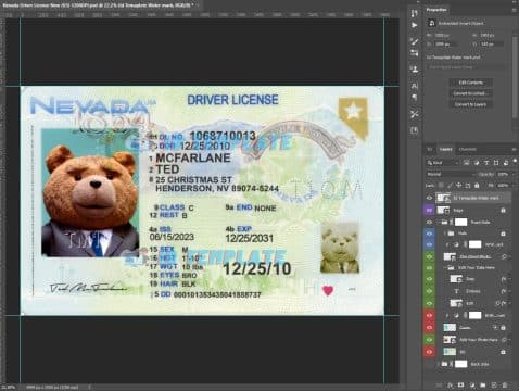 Nevada Driving license New