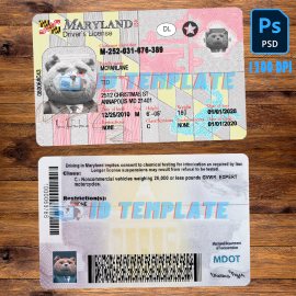 Maryland Driving license