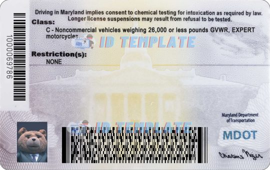 Maryland Driving license