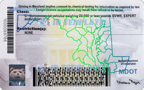 Maryland Driving license