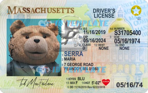 Massachusetts Driving license New 1