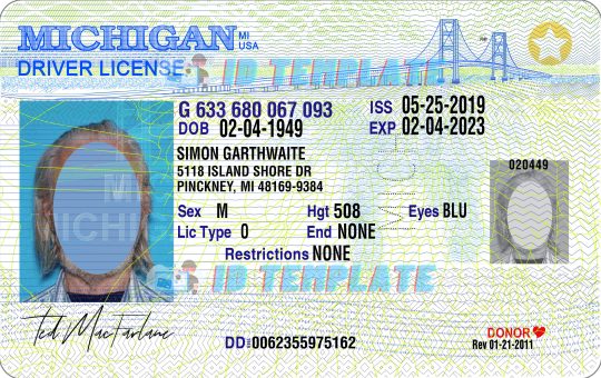 Michigan Driving license 3