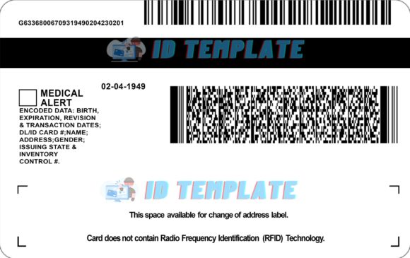 Michigan Driving license 4