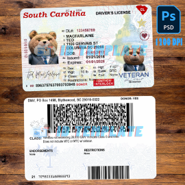 South Carolina Driving license