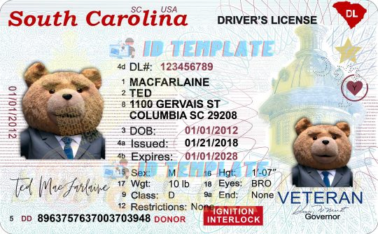 South Carolina Driving license 1