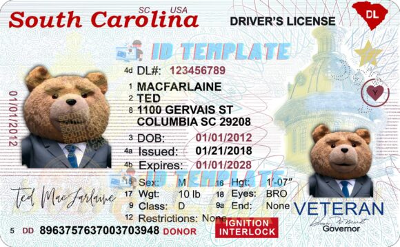 South Carolina Driving license 1