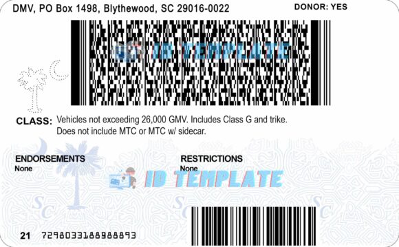 South Carolina Driving license 2