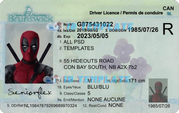 New Brunswick Driving license