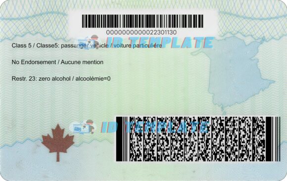 New Brunswick Driving license