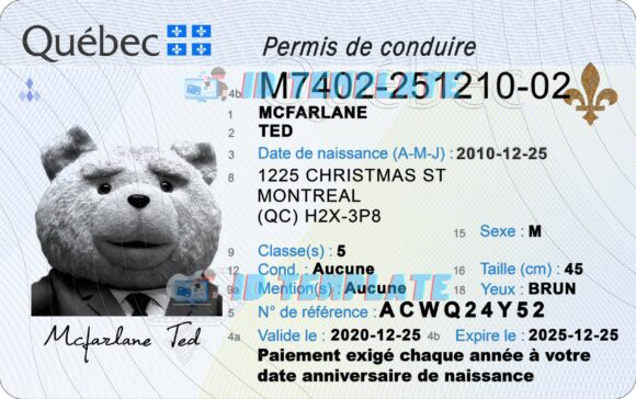 Quebec Driving license