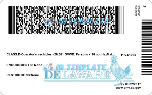 delaware driver's license