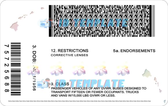 Hawaii Driving license