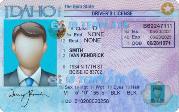 Idaho Driver license New
