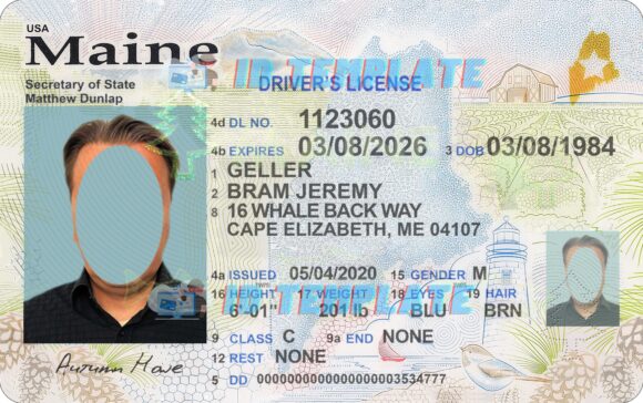 Maine Driving license