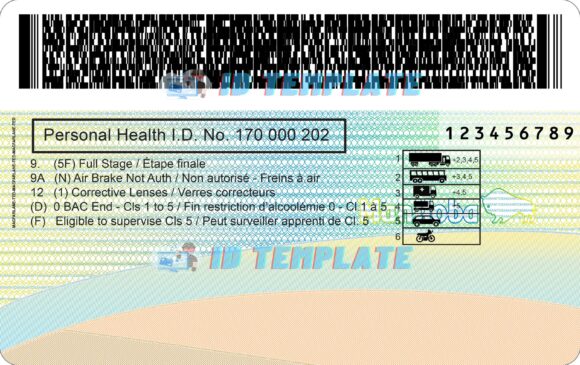 Manitoba Driving license