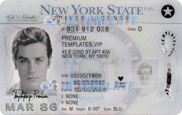 New York Drivers License New