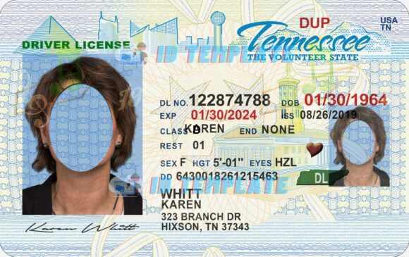 Tennessee Driving license