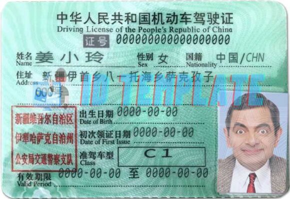 China Driving license