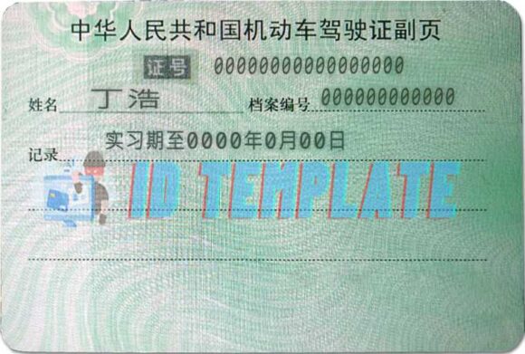 China Driving license