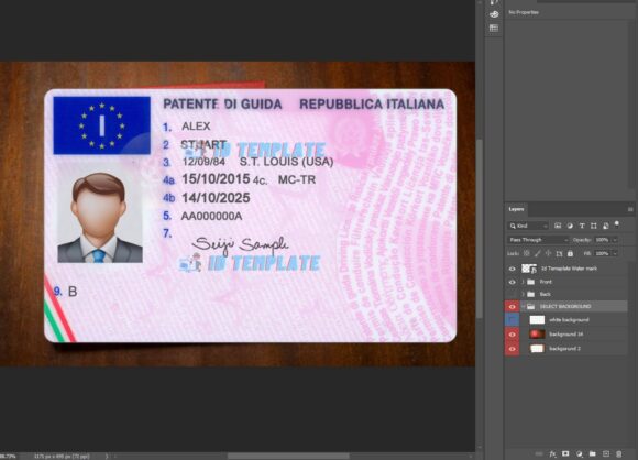 Italian Driver License