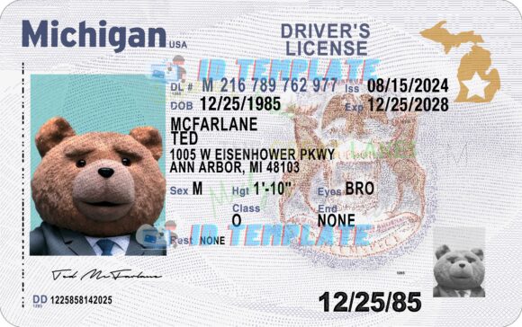 Michigan New Driving license