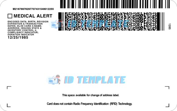 Michigan New Driving license