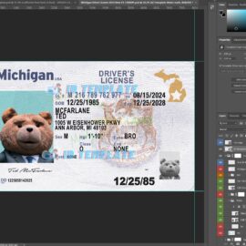 Michigan New Driving license