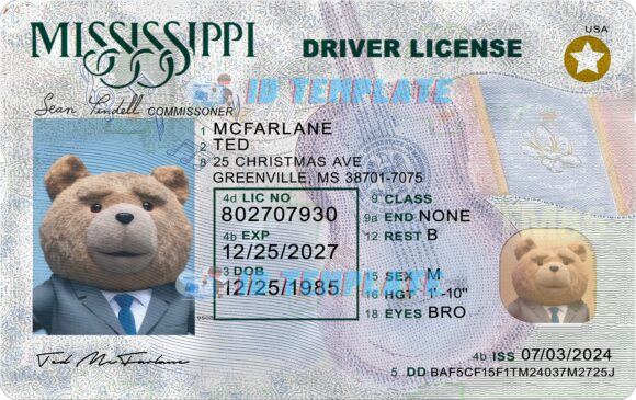 Mississippi New Driving License