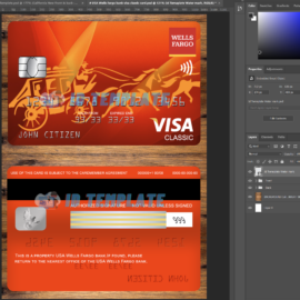 Wells Fargo Visa card