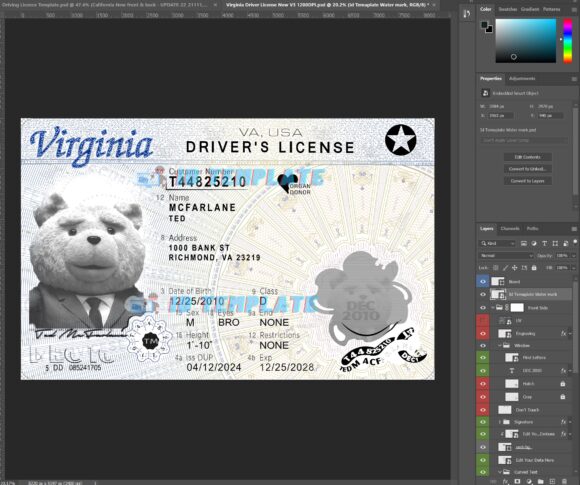 Virginia new Driving license