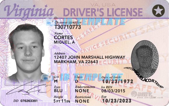 Virginia Driving license