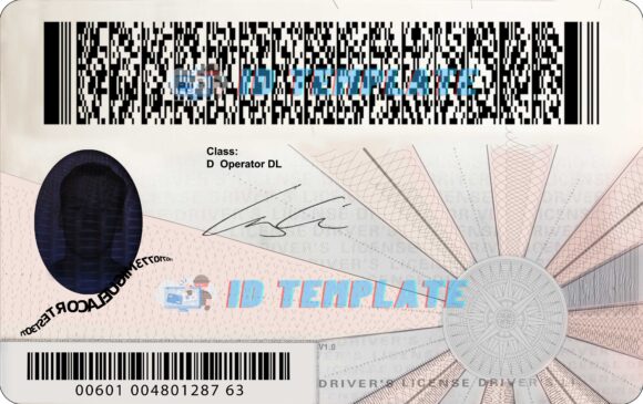 Virginia Driving license