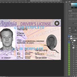 Virginia Driving license