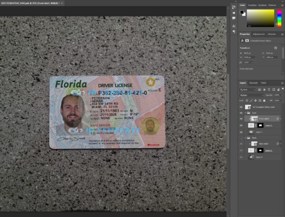 Florida Driver License