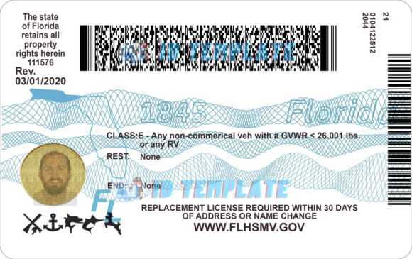 Florida Driver License