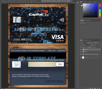Capital One bank Visa card