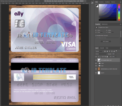 Ally Bank Visa Card