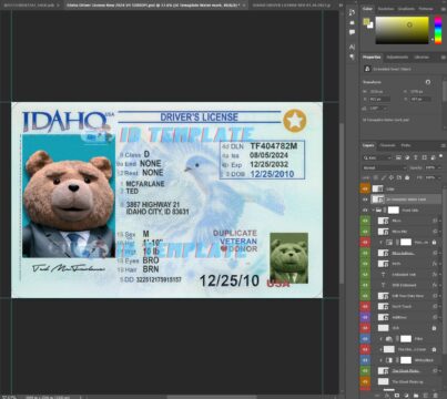 IDaho Driving license New
