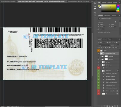 IDaho Driving license New