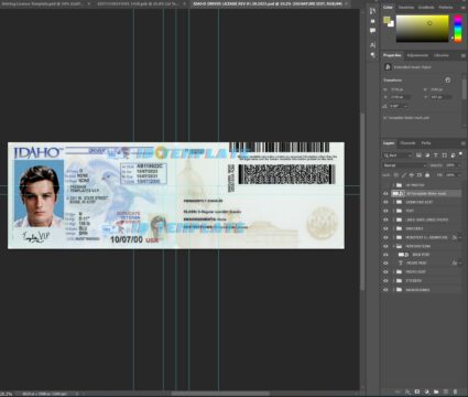 IDaho Driving license New