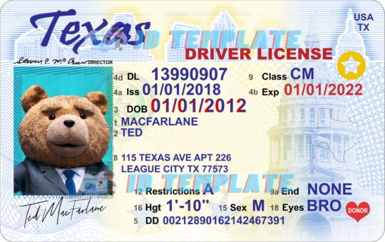 Texas Driver License