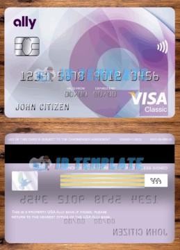 Ally Bank Visa Card
