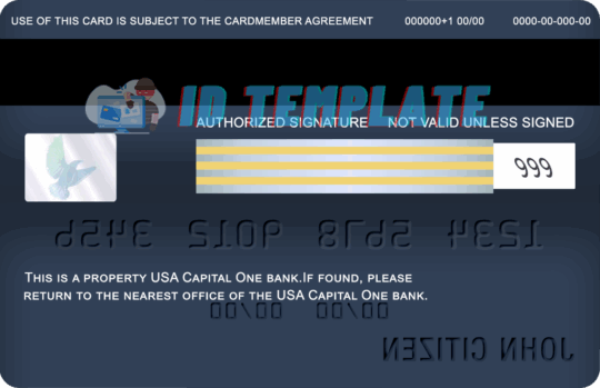 Capital One bank Visa card