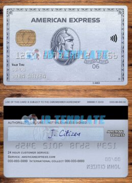 Chase Amex Platinum Card