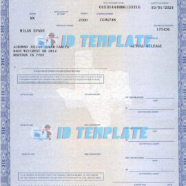 Texas Certificate of Title of Vehicle 2