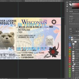 Wisconsin New Driving license 1