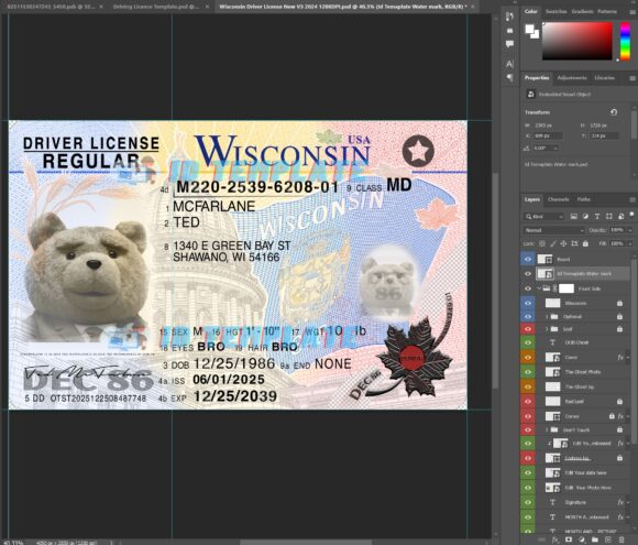 Wisconsin New Driving license 1